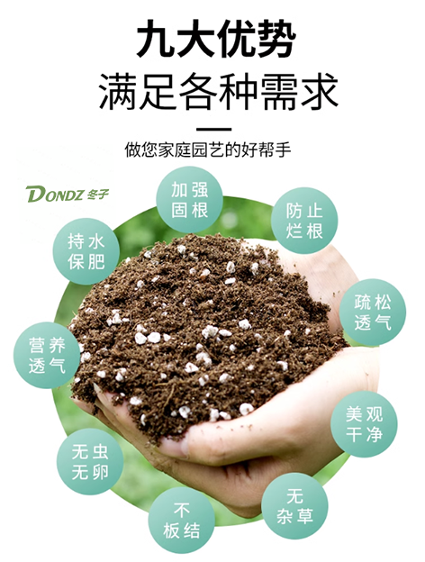 DONDZ冬子营养土